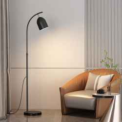 Iron Floor Lamp