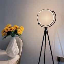 Iron Floor Lamp