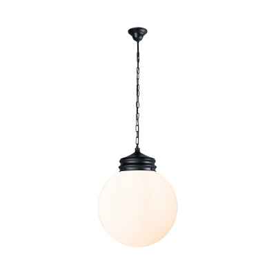 pendant lamp / frosted pendant lamp