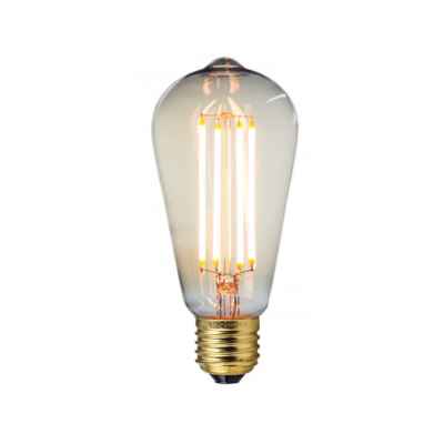 Edison Light Bulb