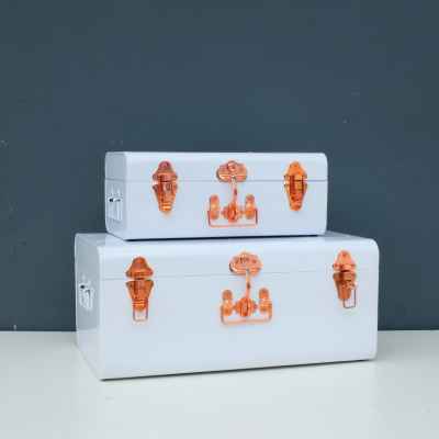 Trunk Set  White/Copper Acsr