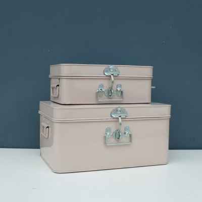 Trunk Set-Nude/Chrome Acsr