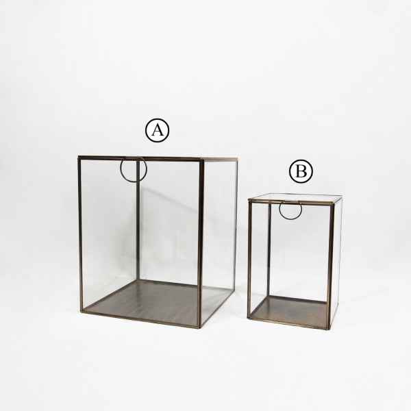 Storage glass box BRASS Brass