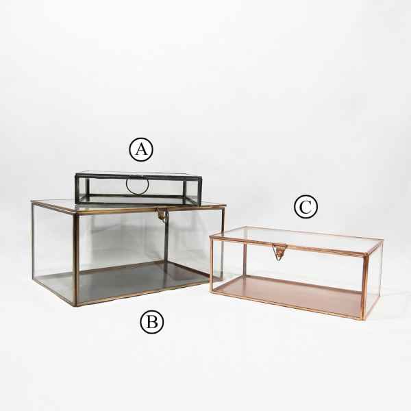 Storage glass box