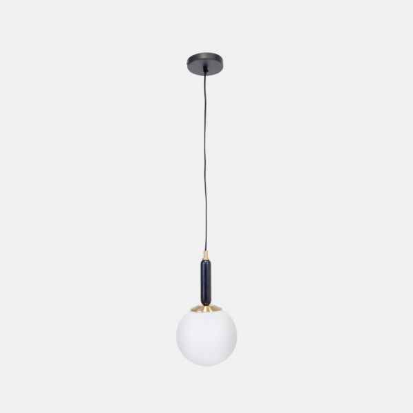 Glass&Wooden Pendent Lamp