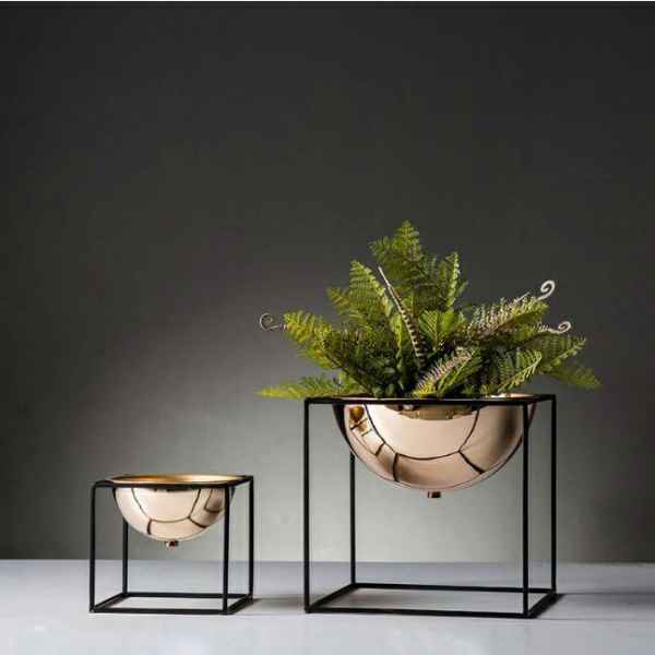 Iron Plant Pot