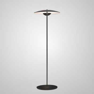 Iron Floor Lamp