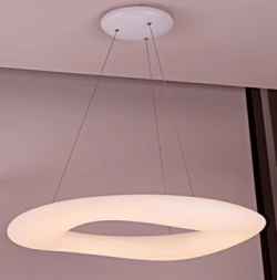 PE&Iron Pendant Lamp