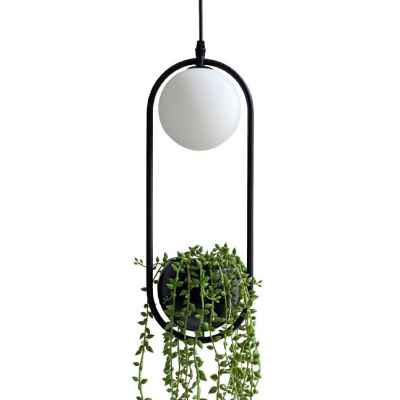 Iron&Glass Pendant Lamp