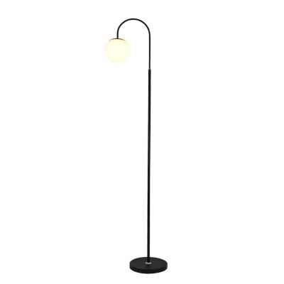Iron&Acrylic Floor Lamp