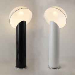 Iron&Acrylic Floor Lamp