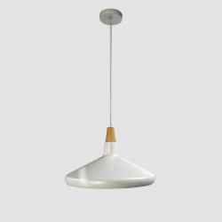 Iron&Wooden Pendant Lamp