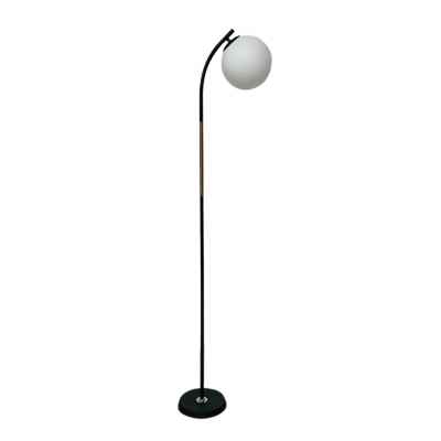 Iron&Acrylic Floor Lamp