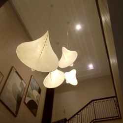 Carbon Silk Pendant Lamp